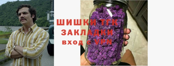 ECSTASY Белокуриха