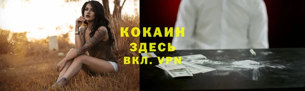 ECSTASY Белокуриха
