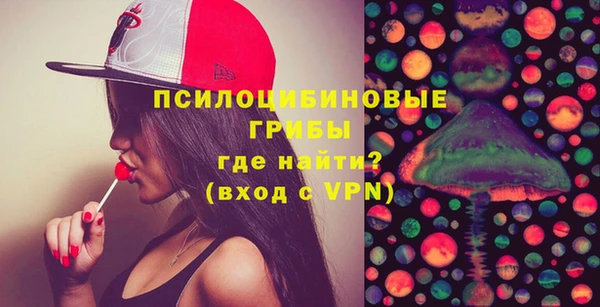 ECSTASY Белокуриха